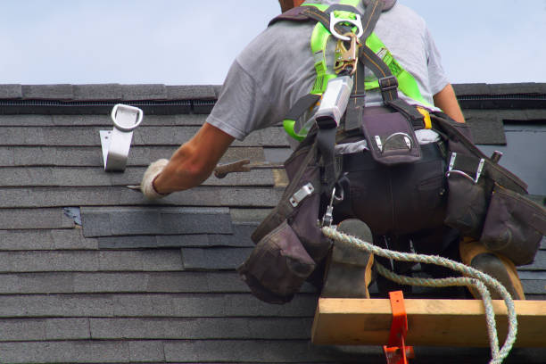Best Residential Roofing Contractor  in Park River, ND