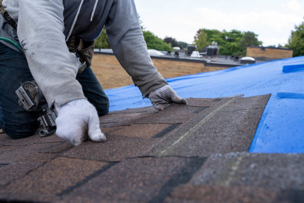Best Storm Damage Roof Repair  in Park River, ND