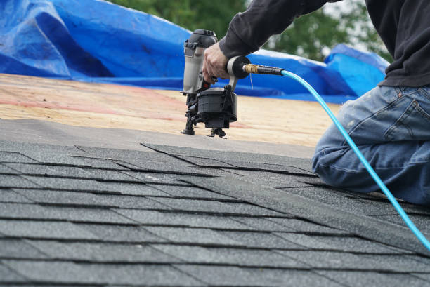 Best Metal Roofing Contractor  in Park River, ND