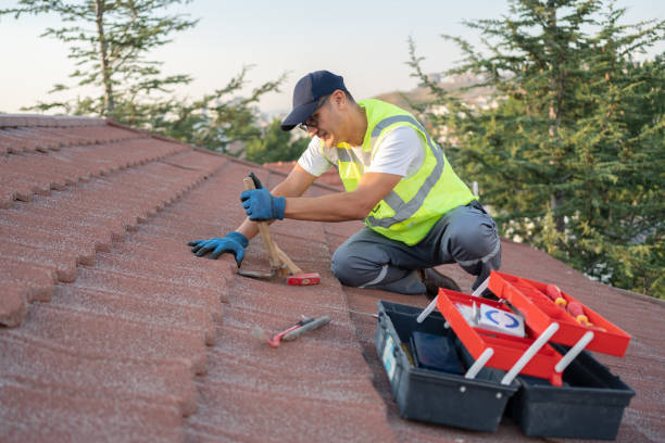 Professional Roofing Contractor in Park River, ND